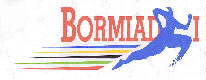 home bormiadi '98